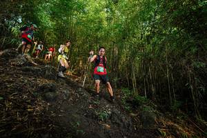 BIB: 
                            <button type="button" onclick="openModal(25090025)" class="btn btn-primary btn-sm float-right btn-popup" data-toggle="modal" data-target=".modal-high-quality">
                        <i class="fas fa-shopping-cart"></i> Add to Cart
                    </button>
                                            <button type="button" onclick="isThisMe(25090025, true)" class="btn btn-success btn-sm float-right btn-popup btn-isme hidden" data-toggle="tooltip" data-placement="bottom" title="นี่คือรูปของคุณใช่ไหม คลิกที่นี่เพื่อเอาเข้าอัลบั้ม">
                        <i class="fas fa-plus"></i> Add to album
                    </button>
                    <button type="button" onclick="isThisMe(25090025, false)" class="btn btn-warning btn-sm float-right btn-popup btn-isnotme hidden">
                        <i class="fas fa-ban"></i> Remove from album
                    </button>